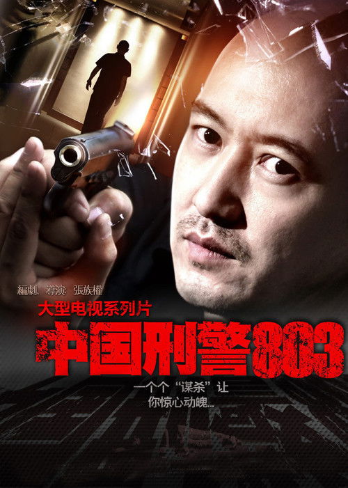 中国刑警803 封面