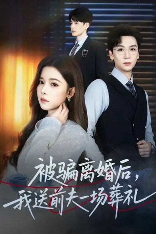 被骗离婚后，我送前夫一场葬礼 封面