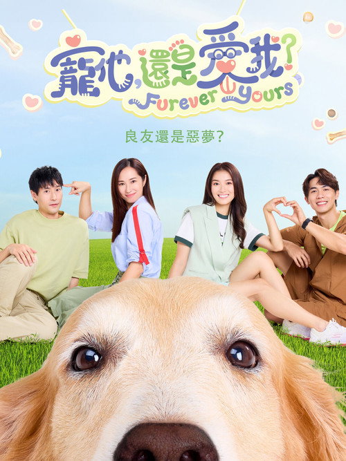 宠他,还是爱我? 封面