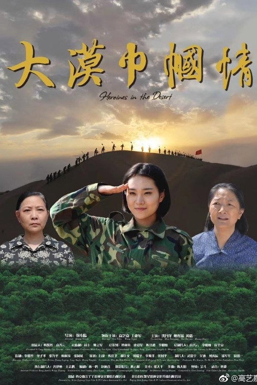 大漠巾帼情 封面