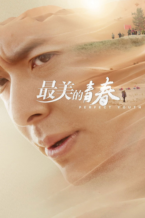 最美的青春 封面