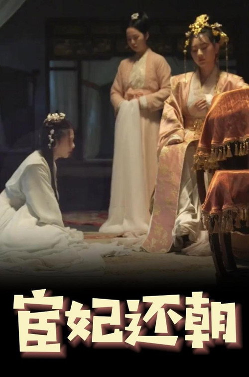 宦妃还朝 封面