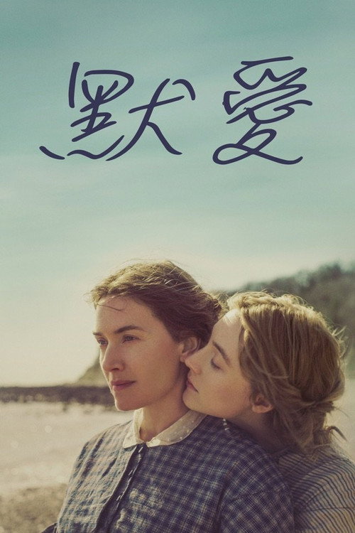 菊石 封面