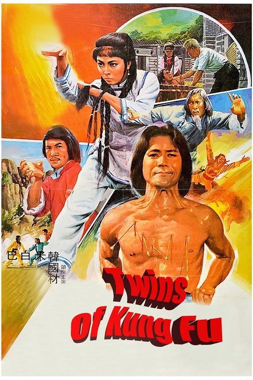 Twins of Kung Fu 封面