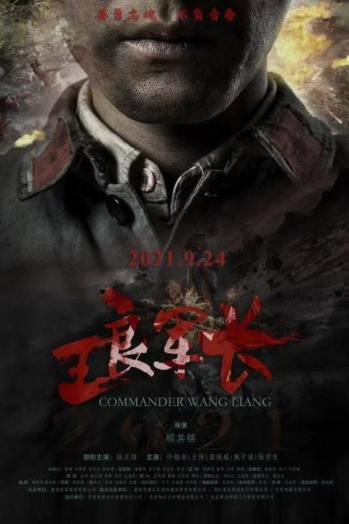 王良军长 封面