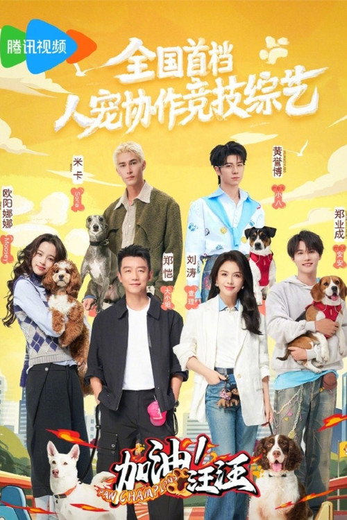 加油!汪汪 封面