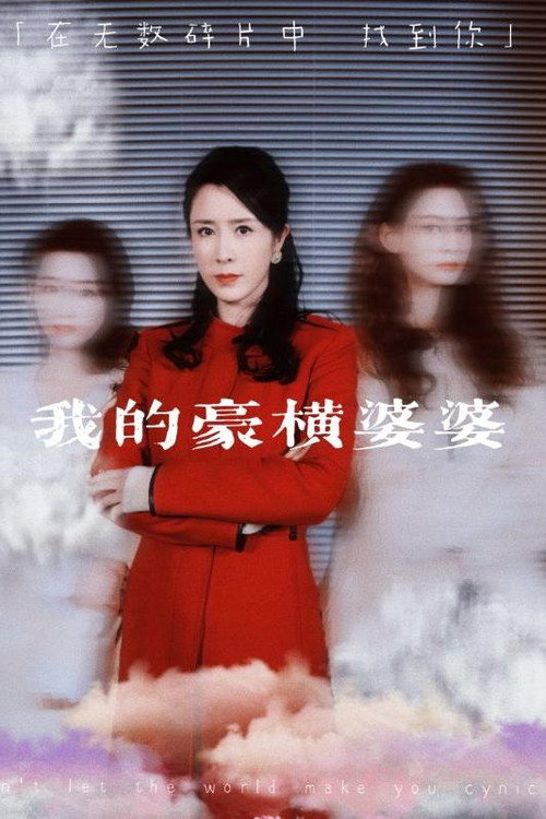 我的豪横婆婆 封面