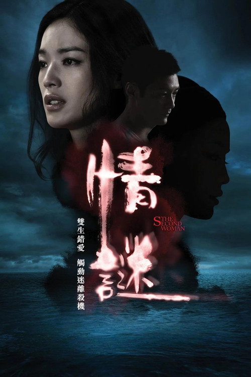 情谜 封面