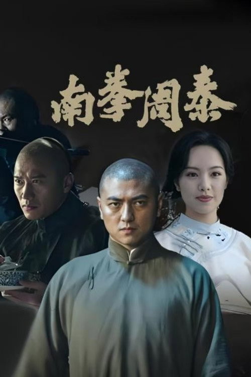 南拳周泰 封面