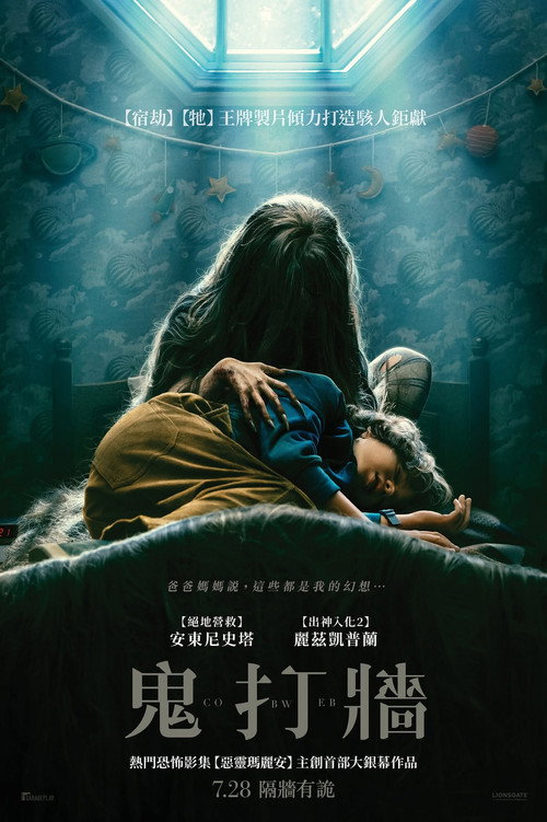 蛛网男孩 封面