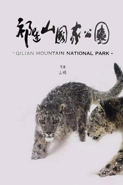 祁连山国家公园 封面