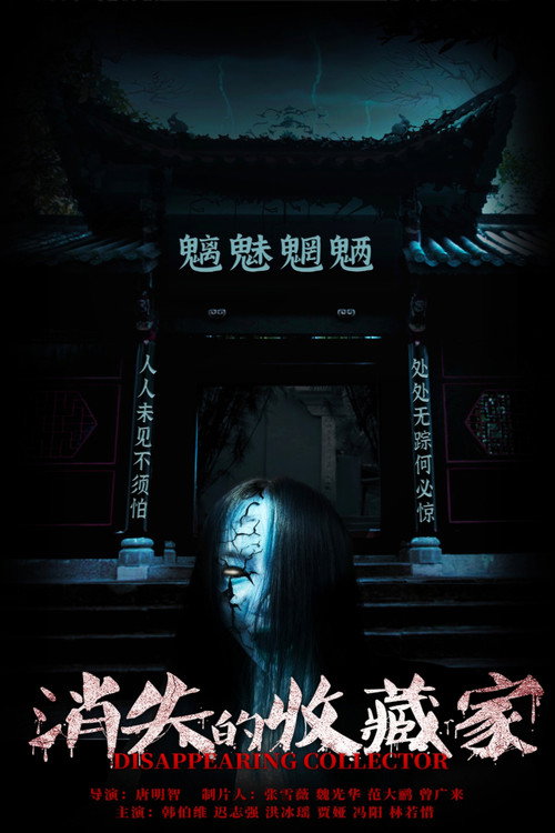 消失的收藏家 封面