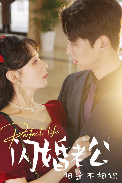 闪婚老公相逢不相识 封面
