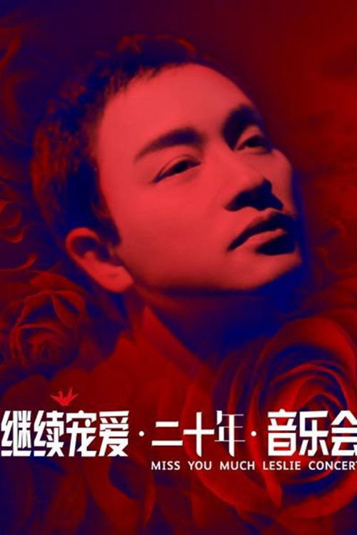 继续宠爱·二十年·音乐会 封面