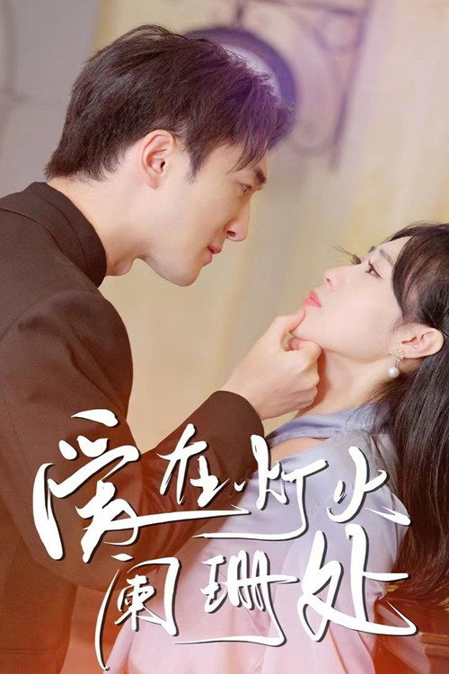 新：爱在灯火阑珊处 封面
