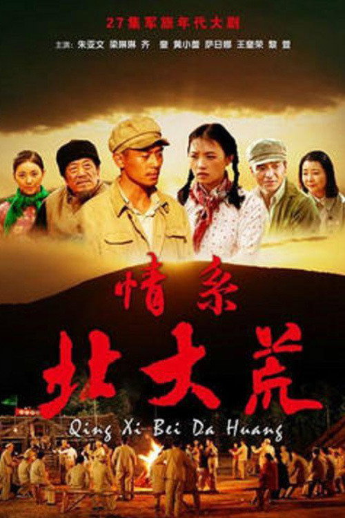 情系北大荒 封面