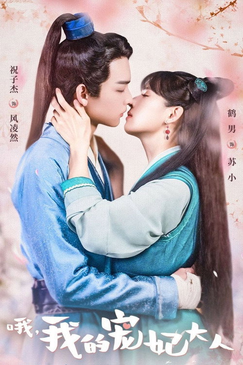 哦,我的宠妃大人 封面