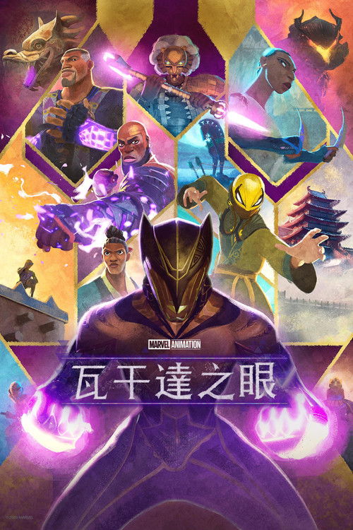 瓦坎达之眼 封面