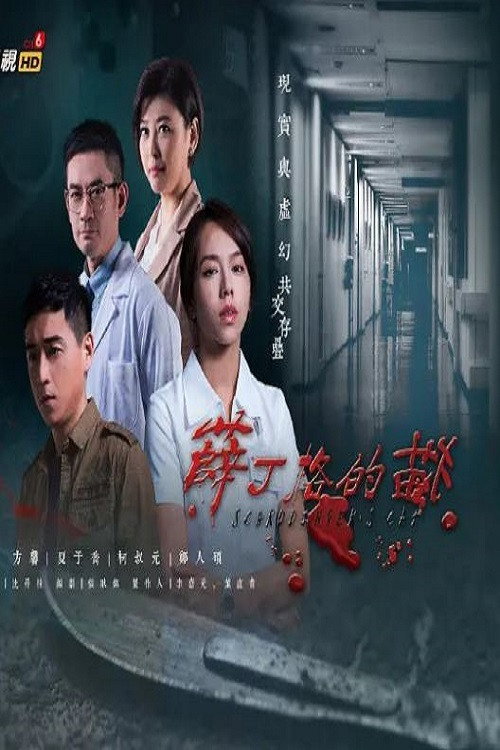 薛丁格的猫 封面