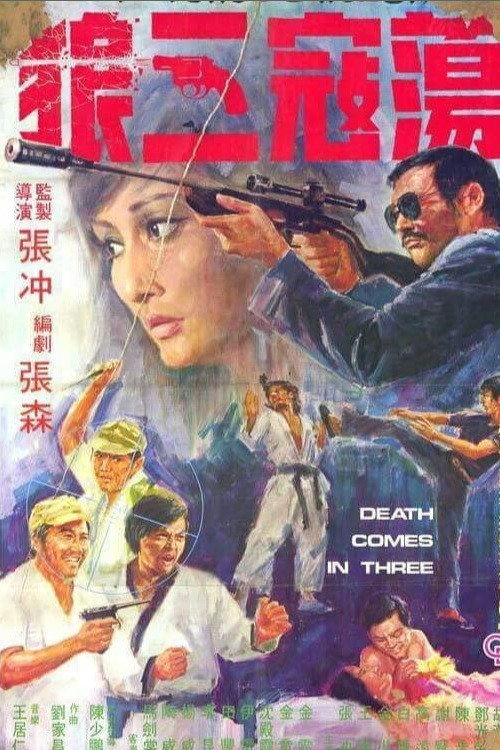 荡寇三狼 封面