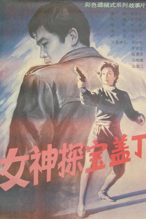 女神探宝盖丁 封面