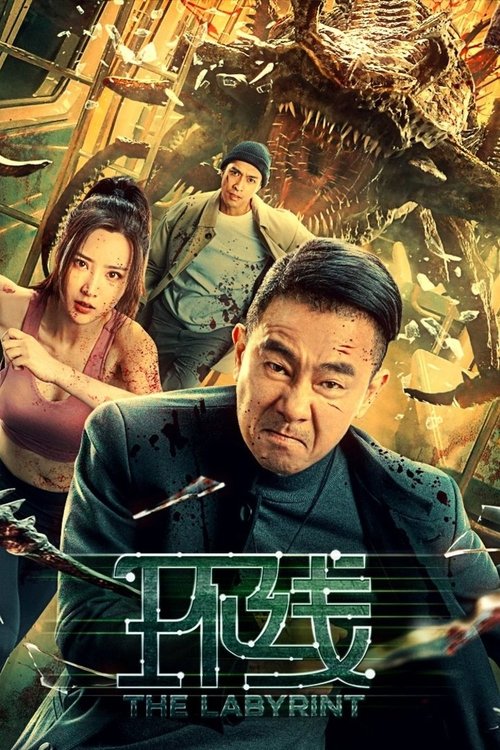 环线 封面