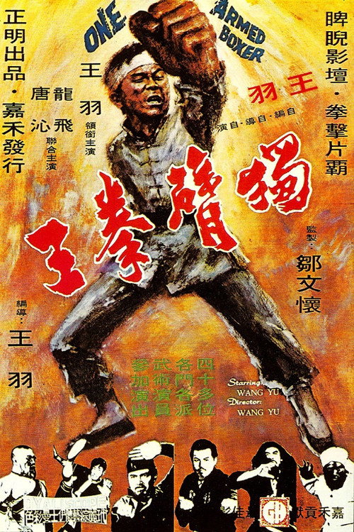 独臂拳王 封面
