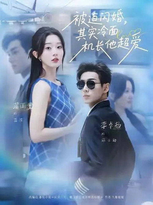 被迫闪婚，其实冷面机长他超爱 封面
