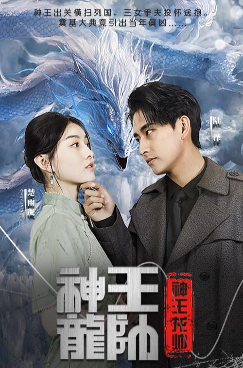 神王龙帅 封面