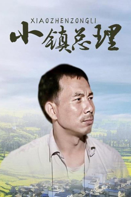 小镇总理 封面