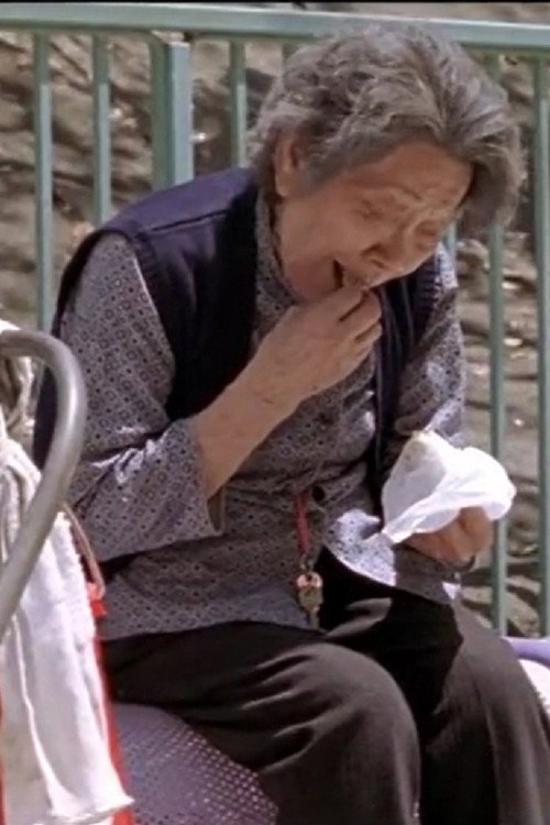 一天 封面