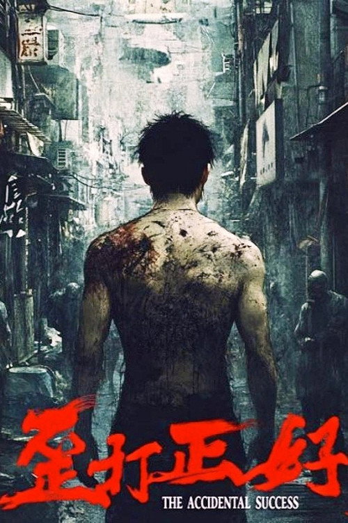 歪打正好 封面