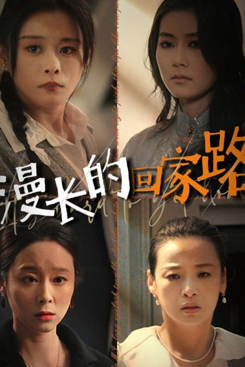 漫长的回家路 封面