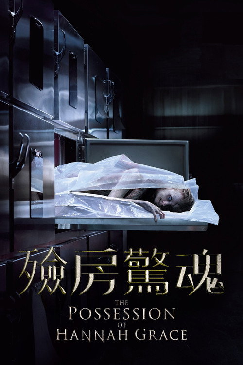 汉娜格蕾丝的着魔 封面