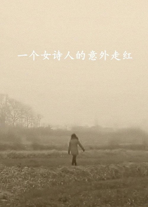 一个女诗人的意外走红 封面