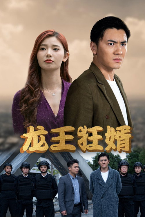 龙王狂婿 封面