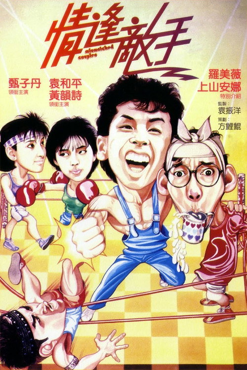 情逢敌手 封面