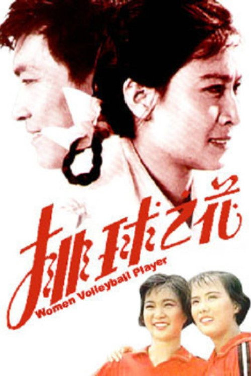 排球之花 封面