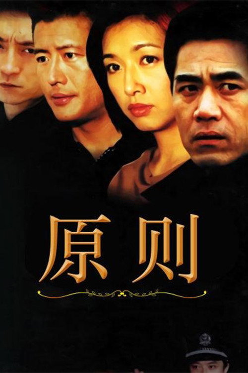 原则 封面