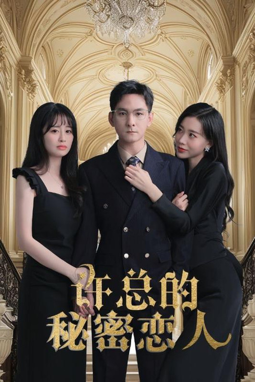 许总的秘密恋人 封面