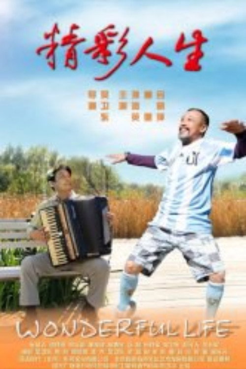精彩人生 封面