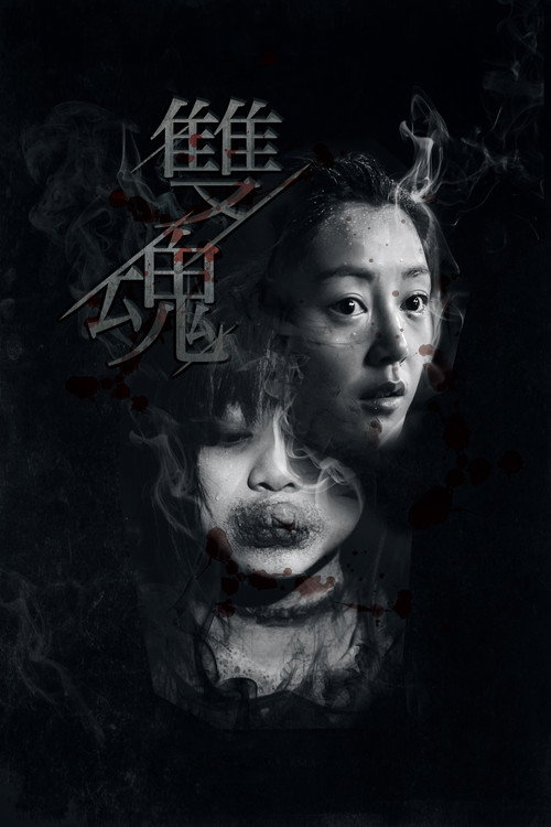 双魂 封面