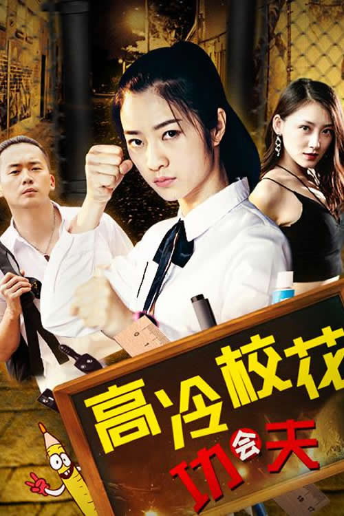 高冷校花会功夫 封面