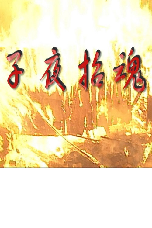 子夜招魂 封面