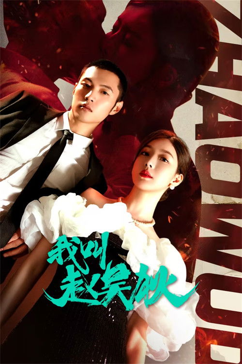 我叫赵吴狄 封面