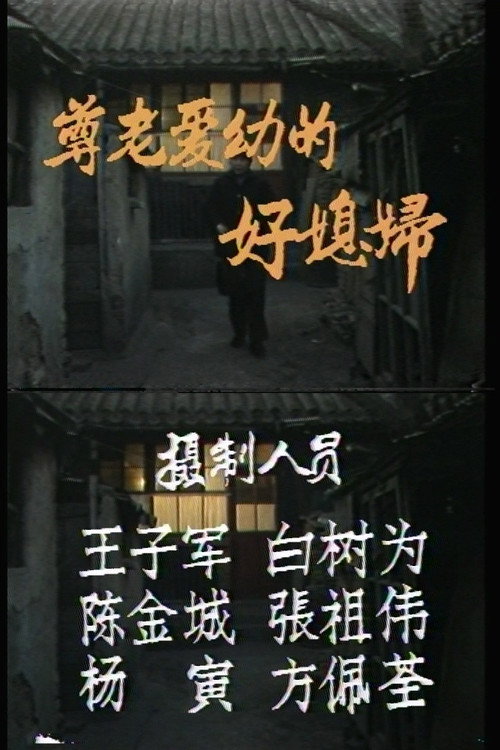 尊老爱幼的好媳妇 封面