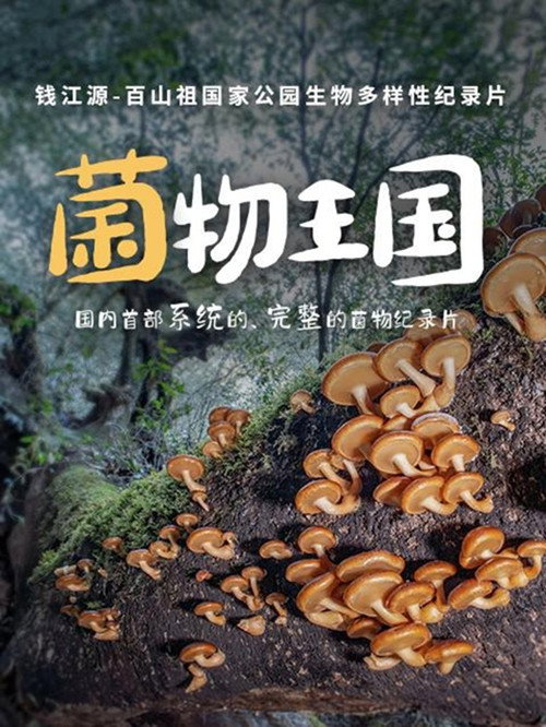 菌物王国 封面