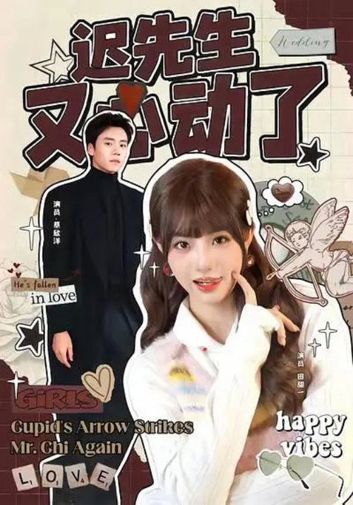 迟先生又心动了 封面