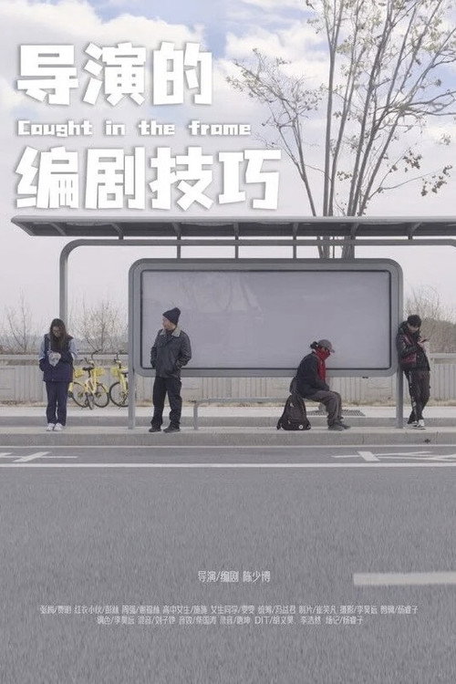 导演的编剧技巧 封面