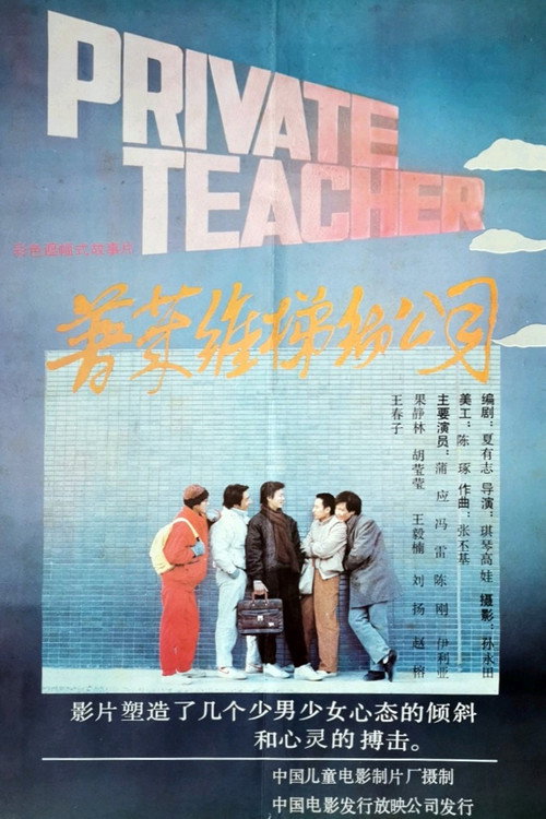 普莱维梯彻公司 封面